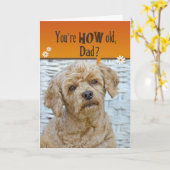 De Verjaardag van de papa Kaart (Gele Bloem)