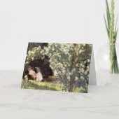 De Verjaardag van de Rozen van Les van Kroyer Kaart (Voorkant)