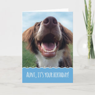 De Verjaardag van de tante, Gelukkige Hond met Kaart