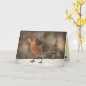 De Verjaardag van de Vink van het huis Kaart (Gele Bloem)