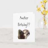 De Verjaardag van de visarend Kaart (Gele Bloem)