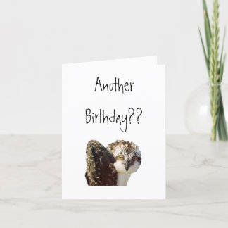 De Verjaardag van de visarend Kaart