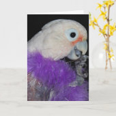 De Verjaardag van diva -diva-ish Kaart (Gele Bloem)