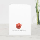 De Verjaardag van het honkbal (Achterkant)