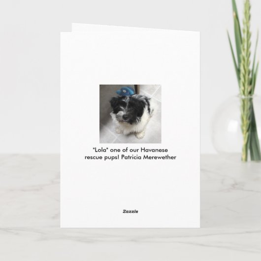 De Verjaardag van het Puppy van Havanese Kaart (Achterkant)