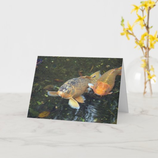 De Verjaardag van Koi van het hallo Kaart (Gele Bloem)