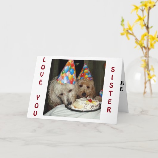 DE VERJAARDAG VAN MIJN ZUS, ONTHOUD ALLES WAT WE H KAART (Gele Bloem)