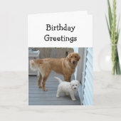 De verjaardag van Us Golden Retriever Kaart (Voorkant)