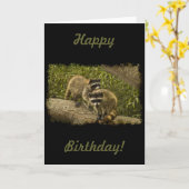 De Verjaardag van wasberen Kaart (Gele Bloem)