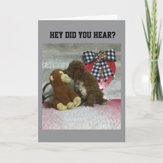 DE VERJAARDAG WENST EEN SPECIAAL IEMAND! KAART (Voorkant)