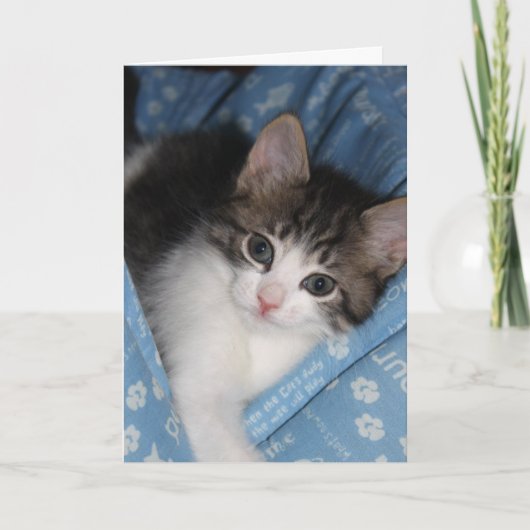 De verjaardag wenst het "Snorren--fect Verjaardag Kaart (Voorkant)