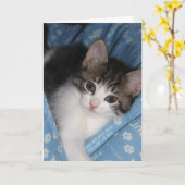 De verjaardag wenst het "Snorren--fect Verjaardag Kaart (Gele Bloem)