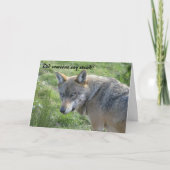 De verjaardagskaart van de wolf kaart (Voorkant)