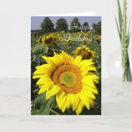De verjaardagskaart van de zonnebloem kaart