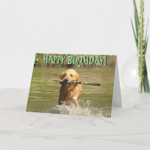 De verjaardagskaart van het golden retriever kaart