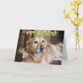 De verjaardagskaart van het golden retriever kaart (Gele Bloem)
