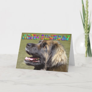 De verjaardagskaart van Leonberger Kaart