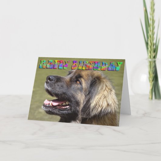De verjaardagskaart van Leonberger Kaart (Voorkant)