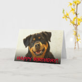De verjaardagskaart van Rottweiler Kaart (Gele Bloem)