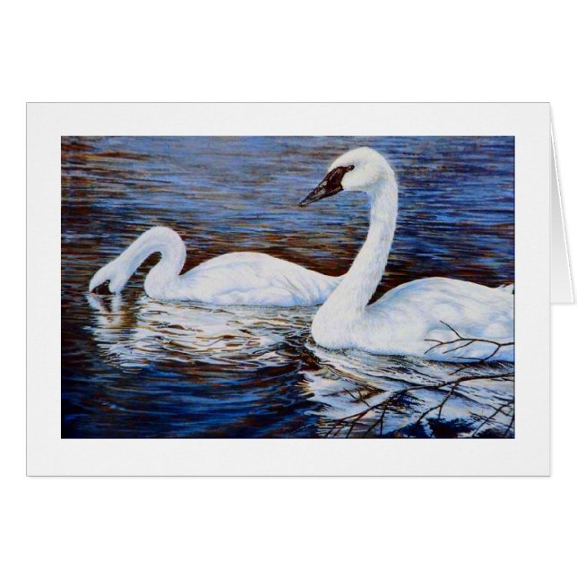 De verlegen zwaluw (Voorkant Horizontaal)