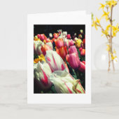 De verleidende Kaart van de Nota van Tulpen (Gele Bloem)