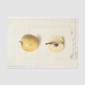 De verloren appel tissuepapier (Voorkant)