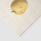 De verloren appel tissuepapier (Detail)