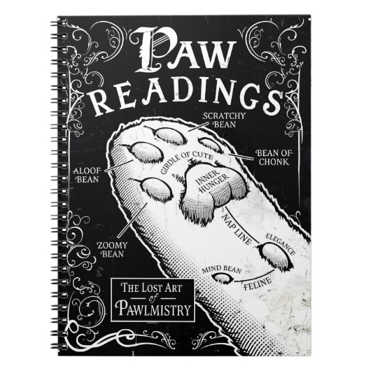 De verloren kunst van de paleometrie: een Feline F Notitieboek (Voorkant)