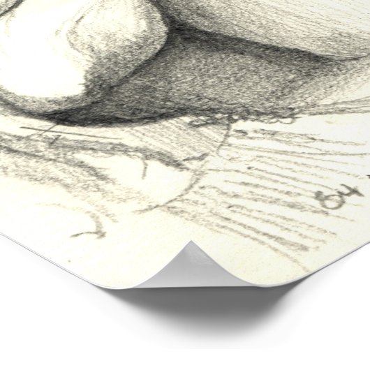 De verloren schapen poster (Hoek)