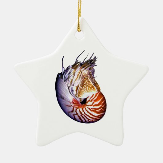 DE VERMISTE NAUTILUS KERAMISCH ORNAMENT (Voorkant)