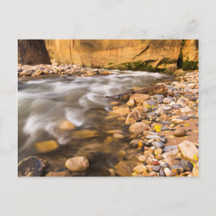 De vernauwing van de Virgin River in de herfst 4 Briefkaart