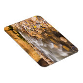 De vernauwing van de Virgin River in de herfst 4 Magneet (Rechterzijde)