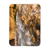 De vernauwing van de Virgin River in de herfst 4 Magneet (Verticaal)