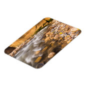 De vernauwing van de Virgin River in de herfst 4 Magneet (Linkerzijde)