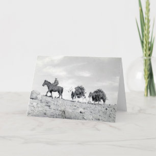 De verpakking van uit Kerstbomen Feestdagen Kaart