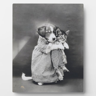 De verpleegster puppy kitten Harry Whittier Frees  Fotoplaat