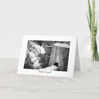 De "verrassing van de winter " feestdagen kaart