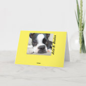 De Verrassingen van Pasen - Lola B. Boston Kaart (Achterkant)