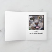 De verraste Kat, het is uw verjaardag? Kaart (Binnen)