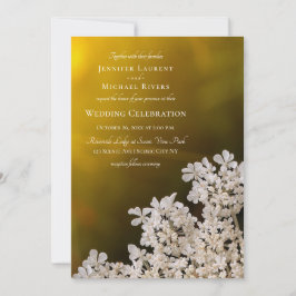 De verre zonlichtbruiloft van koningin Anne Kaart