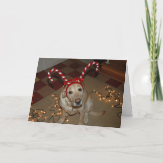 De verrukking van Kerstmis! Feestdagen Kaart