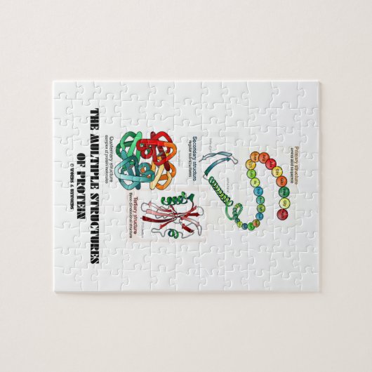 De verschillende eiwitstructuren (biologie) legpuzzel (Horizontaal)