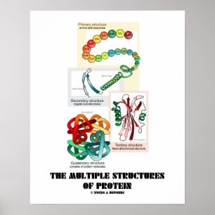 De verschillende eiwitstructuren (biologie) poster