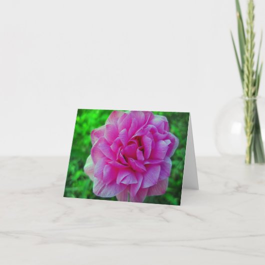 De verstoorde Roze Kaart van de Nota van de Bloem (Voorkant)