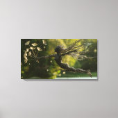 De verzamelaar canvas afdruk (Voorkant)