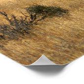 De Verzameling... Poster (Hoek)