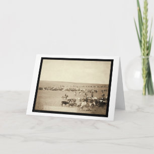 De Verzameling van de cowboy bij Schoonheid Fouche Kaart