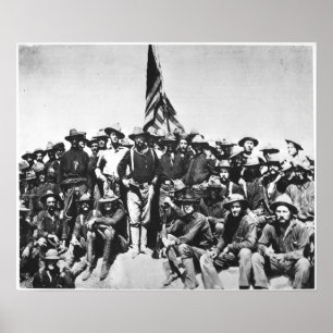 De Veulens van Teddy Poster