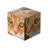 De Vibe van uw huisdier: aangepaste fotokubus (Achter hoekig)