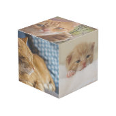 De Vibe van uw huisdier: aangepaste fotokubus (Voorkant hoekig)